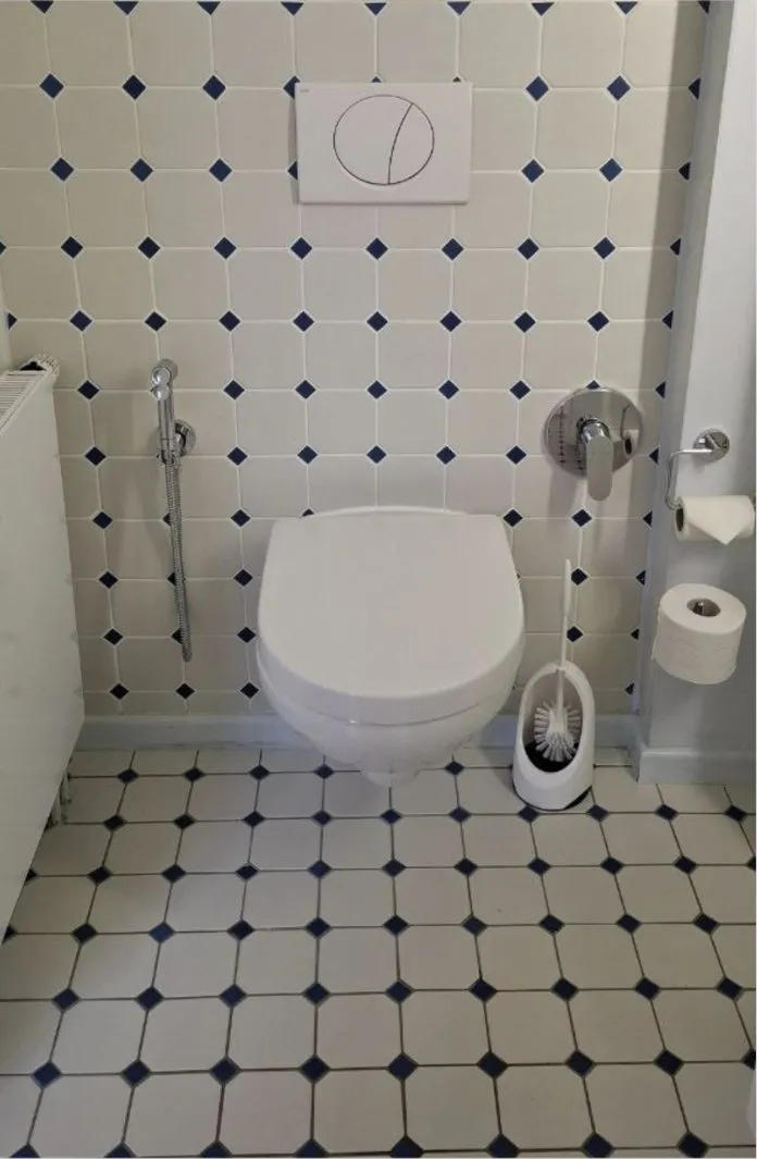 Gäste-WC nach der Reinigung, Fliesen und Fugen sauber